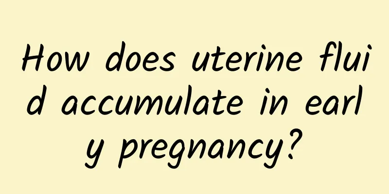 How does uterine fluid accumulate in early pregnancy?