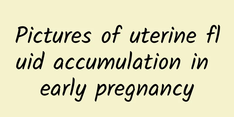 Pictures of uterine fluid accumulation in early pregnancy