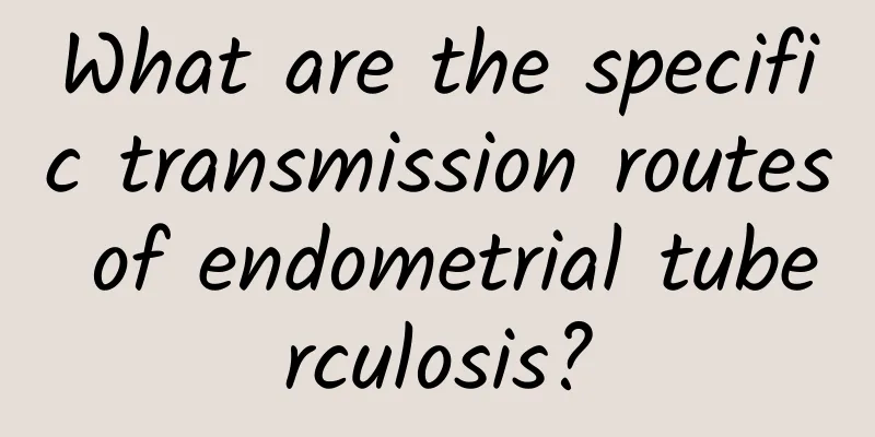 What are the specific transmission routes of endometrial tuberculosis?