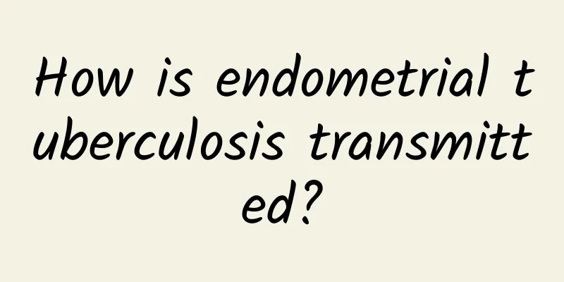 How is endometrial tuberculosis transmitted?