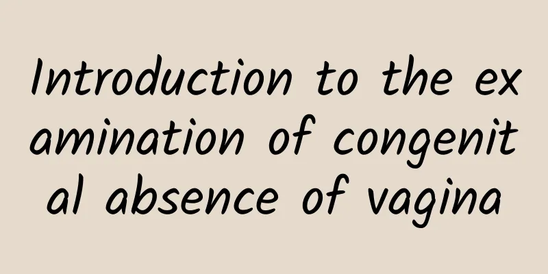 Introduction to the examination of congenital absence of vagina