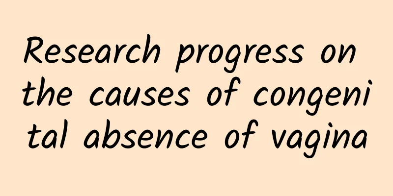 Research progress on the causes of congenital absence of vagina