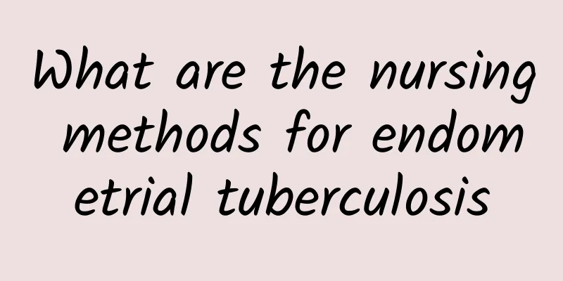 What are the nursing methods for endometrial tuberculosis