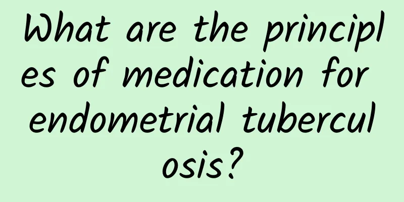 What are the principles of medication for endometrial tuberculosis?