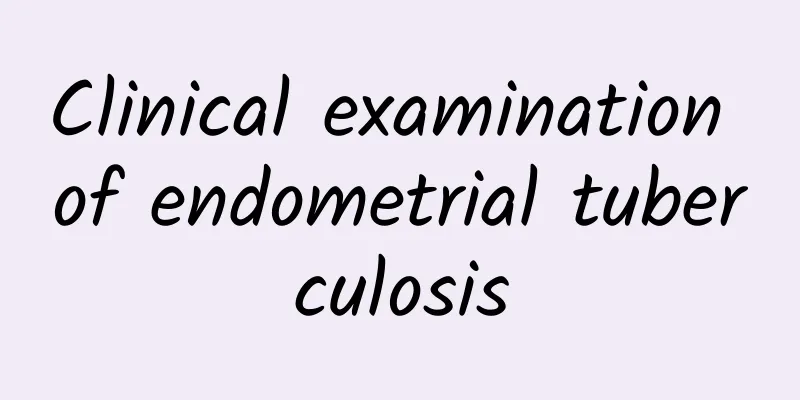 Clinical examination of endometrial tuberculosis