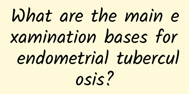 What are the main examination bases for endometrial tuberculosis?