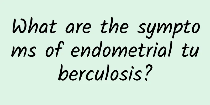 What are the symptoms of endometrial tuberculosis?