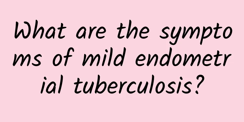 What are the symptoms of mild endometrial tuberculosis?