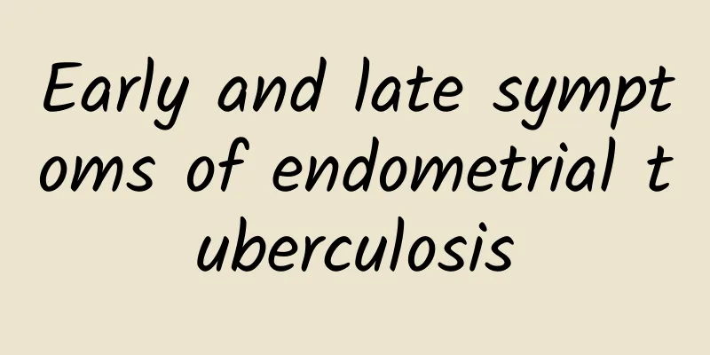 Early and late symptoms of endometrial tuberculosis