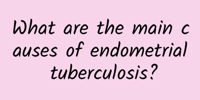 What are the main causes of endometrial tuberculosis?