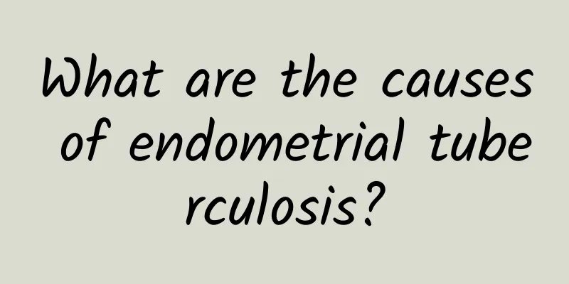 What are the causes of endometrial tuberculosis?