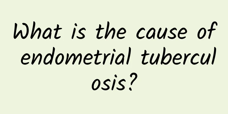 What is the cause of endometrial tuberculosis?