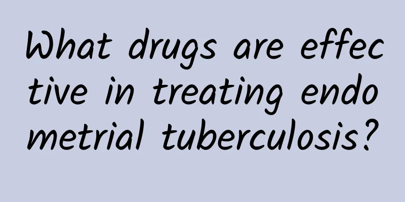 What drugs are effective in treating endometrial tuberculosis?