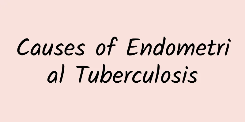 Causes of Endometrial Tuberculosis