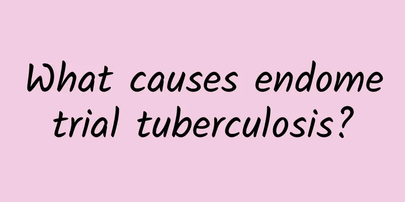 What causes endometrial tuberculosis?