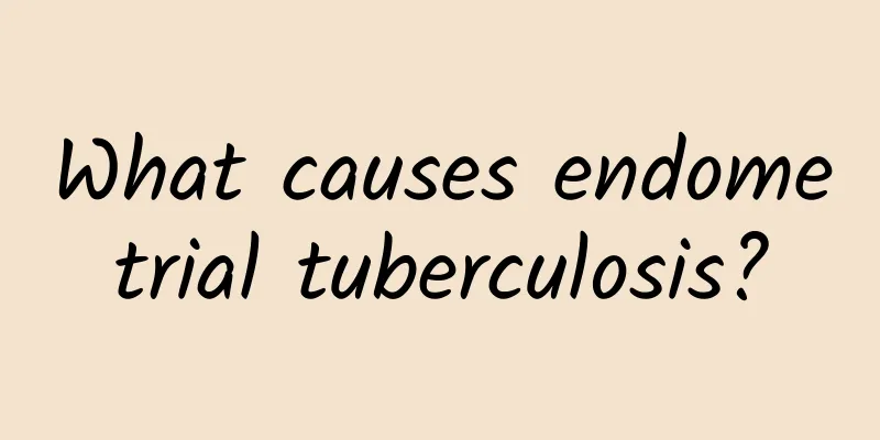 What causes endometrial tuberculosis?
