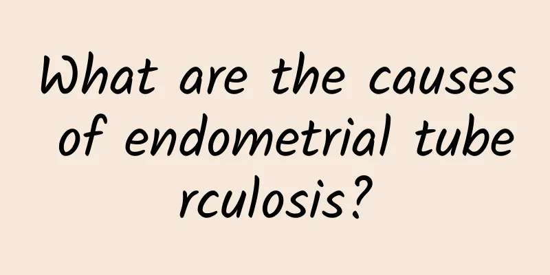 What are the causes of endometrial tuberculosis?