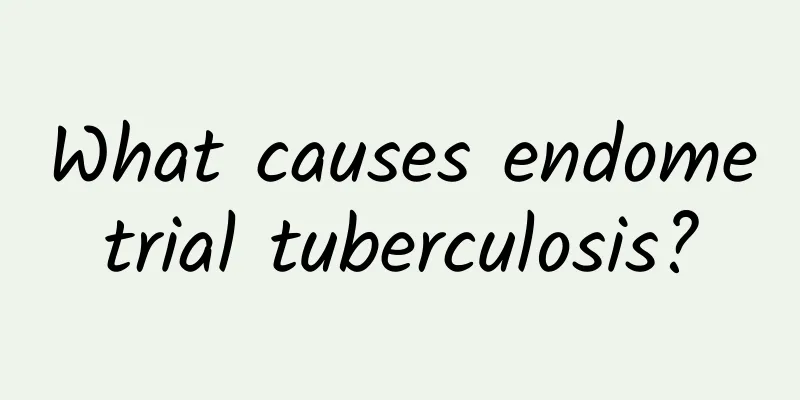 What causes endometrial tuberculosis?