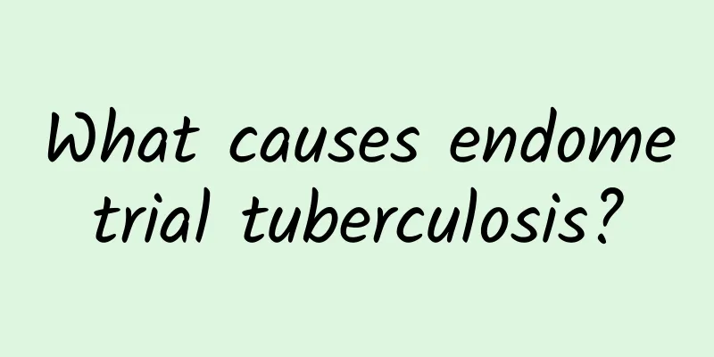 What causes endometrial tuberculosis?