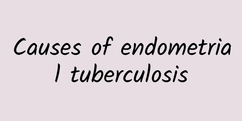 Causes of endometrial tuberculosis