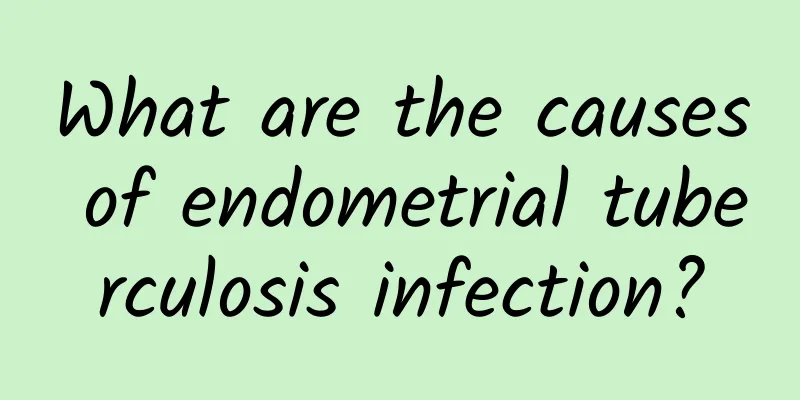 What are the causes of endometrial tuberculosis infection?
