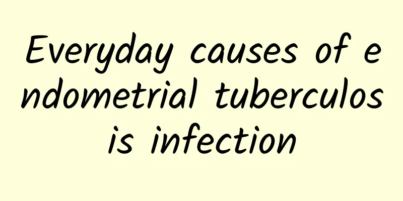 Everyday causes of endometrial tuberculosis infection