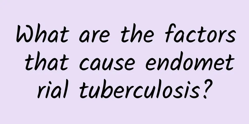 What are the factors that cause endometrial tuberculosis?