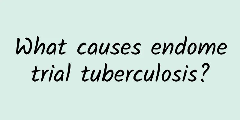 What causes endometrial tuberculosis?