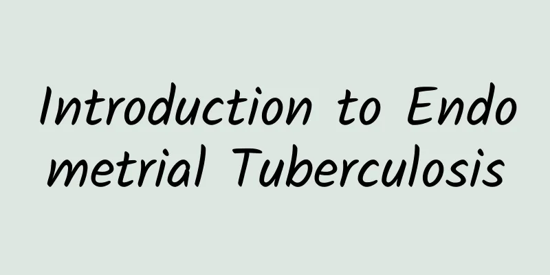 Introduction to Endometrial Tuberculosis