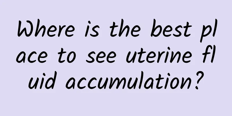 Where is the best place to see uterine fluid accumulation?