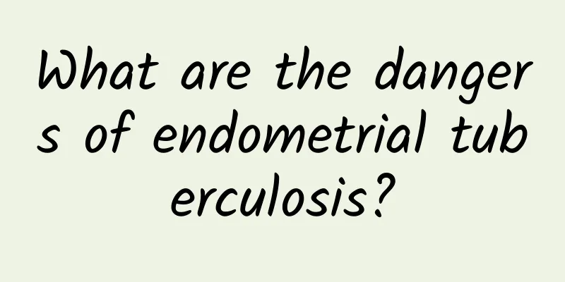 What are the dangers of endometrial tuberculosis?