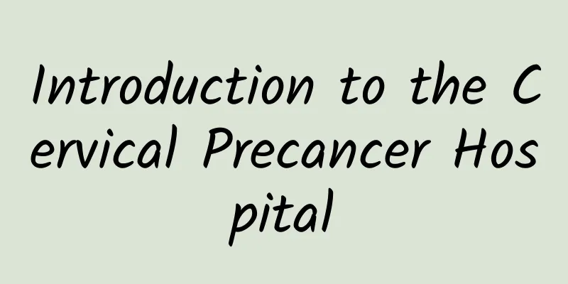 Introduction to the Cervical Precancer Hospital