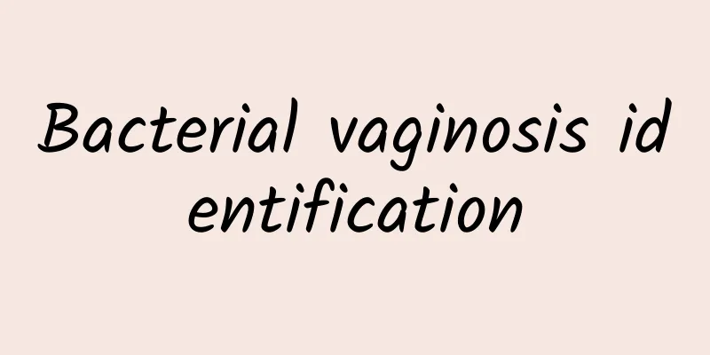 Bacterial vaginosis identification