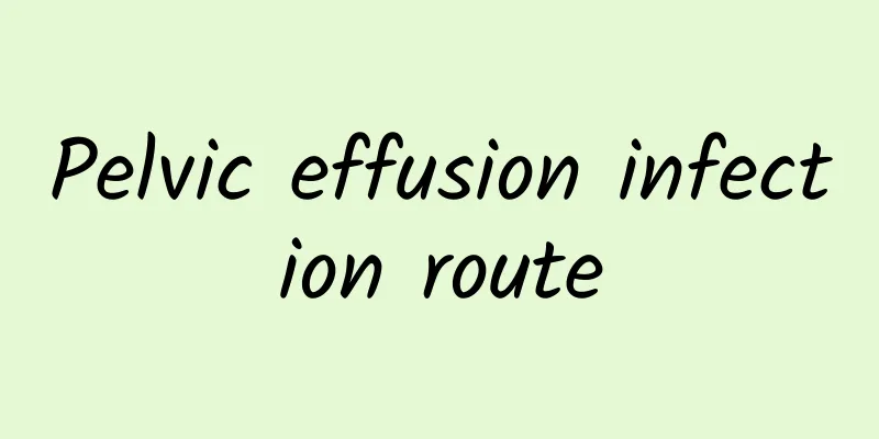 Pelvic effusion infection route