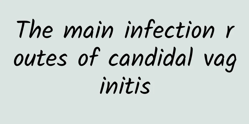 The main infection routes of candidal vaginitis