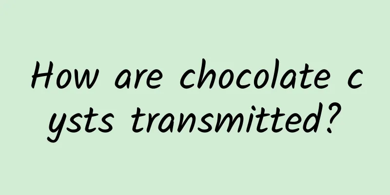 How are chocolate cysts transmitted?