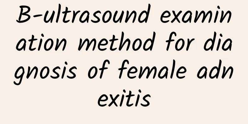 B-ultrasound examination method for diagnosis of female adnexitis