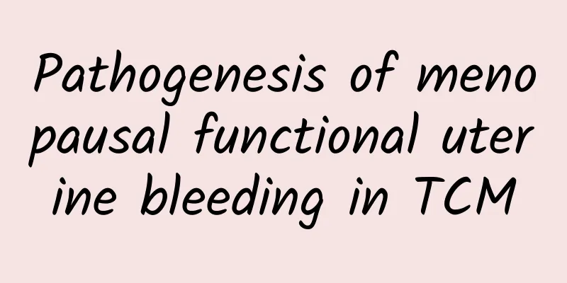 Pathogenesis of menopausal functional uterine bleeding in TCM
