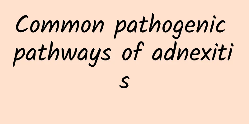 Common pathogenic pathways of adnexitis