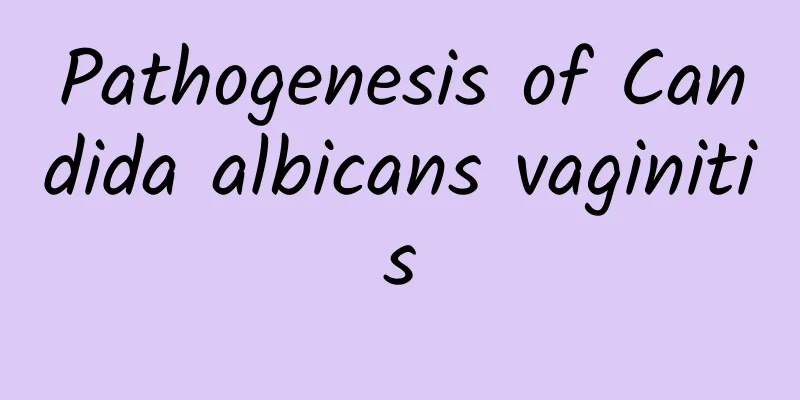 Pathogenesis of Candida albicans vaginitis
