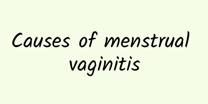 Causes of menstrual vaginitis