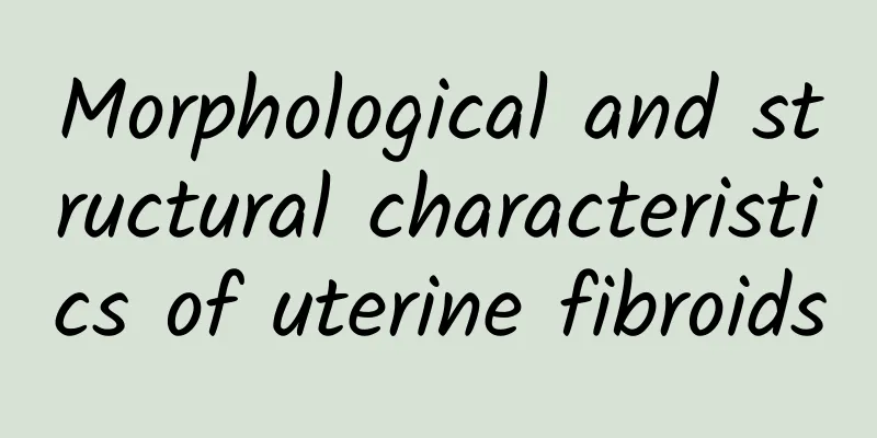 Morphological and structural characteristics of uterine fibroids