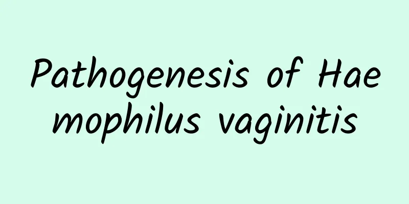 Pathogenesis of Haemophilus vaginitis