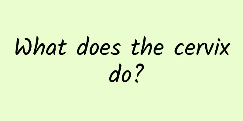 What does the cervix do?