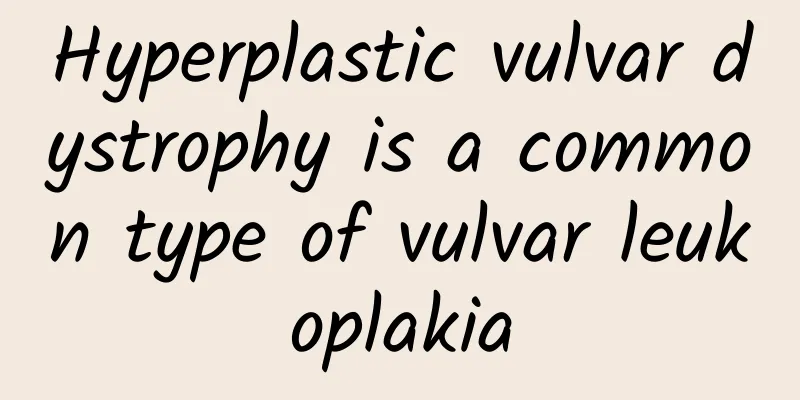 Hyperplastic vulvar dystrophy is a common type of vulvar leukoplakia