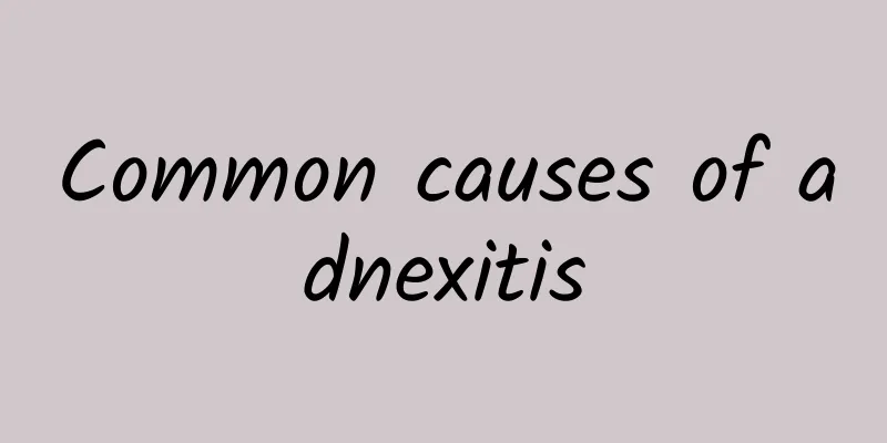 Common causes of adnexitis