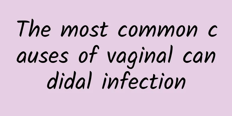 The most common causes of vaginal candidal infection