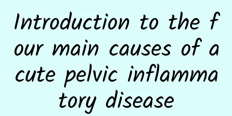 Introduction to the four main causes of acute pelvic inflammatory disease