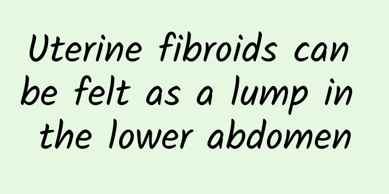 Uterine fibroids can be felt as a lump in the lower abdomen