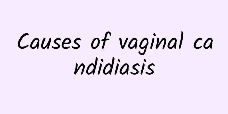 Causes of vaginal candidiasis